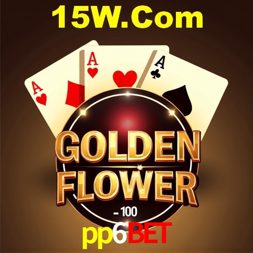 Experiência VIP pp6bet